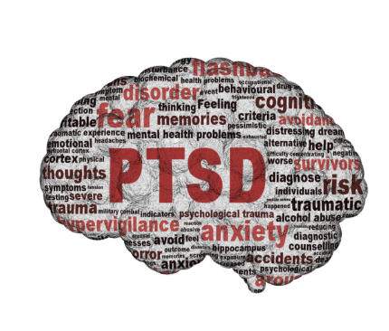 Conceptual illustration of a brain filled with words related to PTSD, including 'fear', 'anxiety', 'disorder', 'trauma', and 'survivors'.